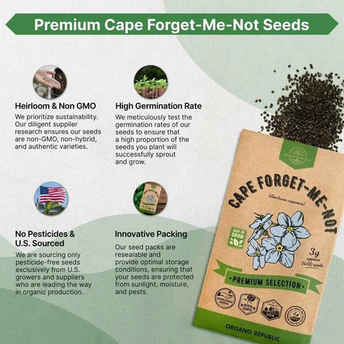 Cape Forget - Me - Not Seeds Pack 3G - Over 1,400 Non - GMO Heirloom Cape Forget - Me - Not Seeds for Planting Flowers in Individual Seed Packet, Flower Seeds for Planting Home Garden Indoor & Outdoor Gardening - Organo Republic