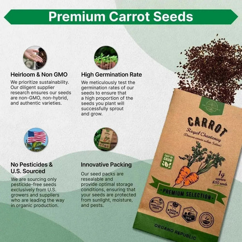 Carrot Royal Chantenay Seeds Pack 1G - Over 850 of Non - GMO Heirloom Carrot Seeds for Planting Vegetables in Individual Seed Packet, Vegetable Seeds for Planting Home Garden Indoor & Outdoor Gardening - Organo Republic