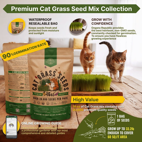 cat grass indoor plant Organo Republic Cat Grass Seeds Mix