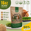 Cat Grass Seeds Mix - 20,800 Non - GMO Heirloom Seeds for Cats & Pets, 16 oz Pack for Growing Fresh Barley, Oat, Rye & Wheat Grass Seeds for Planting, Indoor Plants for Pets, Hairball Remedy for Cats - Organo Republic