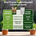 Cat Grass Seeds Mix - 20,800 Non - GMO Heirloom Seeds for Cats & Pets, 16 oz Pack for Growing Fresh Barley, Oat, Rye & Wheat Grass Seeds for Planting, Indoor Plants for Pets, Hairball Remedy for Cats - Organo Republic