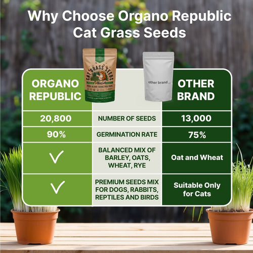 buy indoor plant seeds Organo Republic Cat Grass Seeds Mix