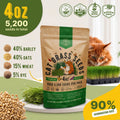 Cat Grass Seeds Mix - 5,200 Non - GMO Heirloom Seeds for Cats & Pets, 4 oz Pack for Growing Fresh Barley, Oat, Rye & Wheat Grass Seeds for Planting, Indoor Plants for Pets, Hairball Remedy for Cats - Organo Republic