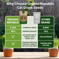 Cat Grass Seeds Mix - 5,200 Non - GMO Heirloom Seeds for Cats & Pets, 4 oz Pack for Growing Fresh Barley, Oat, Rye & Wheat Grass Seeds for Planting, Indoor Plants for Pets, Hairball Remedy for Cats - Organo Republic