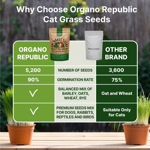 Cat Grass Seeds Mix - 5,200 Non - GMO Heirloom Seeds for Cats & Pets, 4 oz Pack for Growing Fresh Barley, Oat, Rye & Wheat Grass Seeds for Planting, Indoor Plants for Pets, Hairball Remedy for Cats - Organo Republic