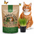 Cat Grass Seeds Mix - 5,200 Non - GMO Heirloom Seeds for Cats & Pets, 4 oz Pack for Growing Fresh Barley, Oat, Rye & Wheat Grass Seeds for Planting, Indoor Plants for Pets, Hairball Remedy for Cats - Organo Republic