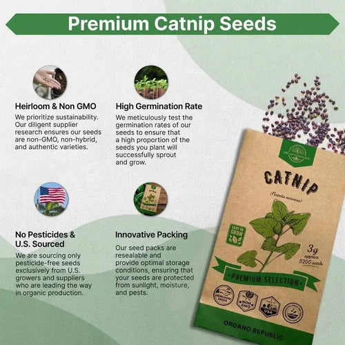 Catnip Seeds Pack 3G - Over 5,200 Non - GMO Heirloom Catnip Seeds for Cats in Individual Seed Packet, Seeds for Planting Herbs Indoors & Outdoors, Plants for Cats, Growing Fresh Catnip for Cat Health - Organo Republic