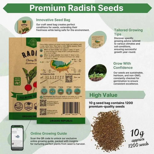 Cherry Belle Radish Seeds Pack 10 G - Over 1200 Non - GMO Heirloom Radish Seeds for Planting Vegetables in Individual Seed Packet, Vegetable Seeds for Planting Home Garden Indoor & Outdoor Gardening - Organo Republic