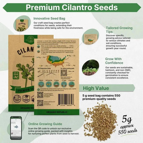 Cilantro Seeds Pack 5 G - Over 550 Non - GMO Heirloom Cilantro Seeds for Planting Herbs in Individual Seed Packet, Herb Seeds for Planting Home Garden Indoor & Outdoor Gardening - Organo Republic