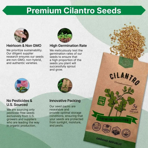 Cilantro Seeds Pack 5 G - Over 550 Non - GMO Heirloom Cilantro Seeds for Planting Herbs in Individual Seed Packet, Herb Seeds for Planting Home Garden Indoor & Outdoor Gardening - Organo Republic