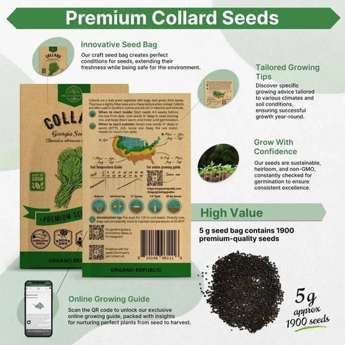 Collard Georgia Southern Seeds Pack 5G - Over 1900 Non - GMO Heirloom Collard Seeds for Planting Vegetable in Individual Seed Packet Vegetables Seeds for Planting Home Garden Indoor & Outdoor Gardening - Organo Republic