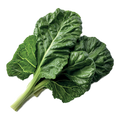 Collards Georgia Southern - 5G