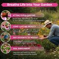 Echinacea Seeds Pack 1 oz - Over 9,300 Non - GMO Heirloom Echinacea Seeds for Planting, Perennial Flowers in Individual Seed Packet, Coneflower Seeds for Planting Home Garden Indoor & Outdoor Gardening - Organo Republic