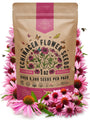 Echinacea Seeds Pack 1 oz - Over 9,300 Non - GMO Heirloom Echinacea Seeds for Planting, Perennial Flowers in Individual Seed Packet, Coneflower Seeds for Planting Home Garden Indoor & Outdoor Gardening - Organo Republic