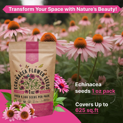Echinacea Seeds Pack 1 oz - Over 9,300 Non - GMO Heirloom Echinacea Seeds for Planting, Perennial Flowers in Individual Seed Packet, Coneflower Seeds for Planting Home Garden Indoor & Outdoor Gardening - Organo Republic