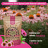 Echinacea Seeds Pack 1 oz - Over 9,300 Non - GMO Heirloom Echinacea Seeds for Planting, Perennial Flowers in Individual Seed Packet, Coneflower Seeds for Planting Home Garden Indoor & Outdoor Gardening - Organo Republic