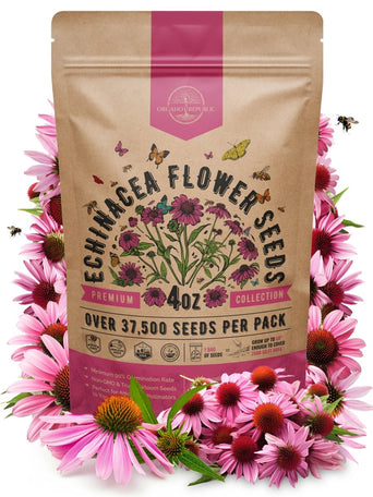 Echinacea Seeds Pack 4 oz