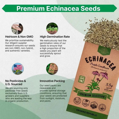 Echinacea Seeds Pack 5.5 G - Over 1000 Non - GMO Heirloom Echinacea Seeds for Planting Herbs in Individual Seed Packet, Herbs Seeds for Planting Home Garden Indoor & Outdoor Gardening - Organo Republic