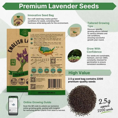 English Lavender Seeds Pack 2.5 G - Over 2,200 Non - GMO Heirloom Lavender Seeds for Planting Herbs in Individual Seed Packet, Herbs Seeds for Planting Home Garden Indoor & Outdoor Gardening - Organo Republic