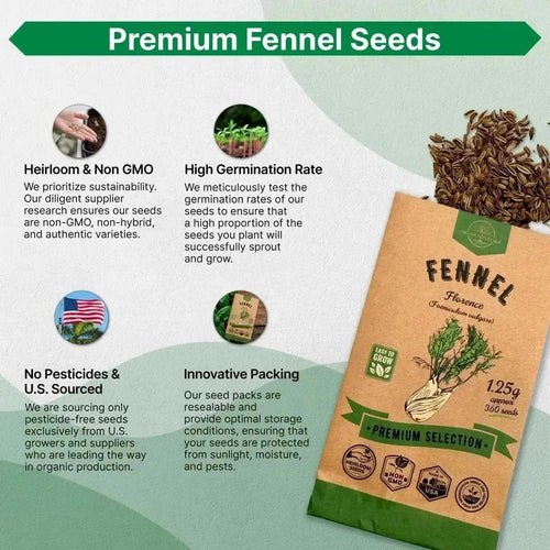 Fennel Florence Seeds Pack 1.25 G - Over 360 Non - GMO Heirloom Fennel Seeds for Planting Herbs in Individual Seed Packet, Herbs Seeds for Planting Home Garden Indoor & Outdoor Gardening - Organo Republic
