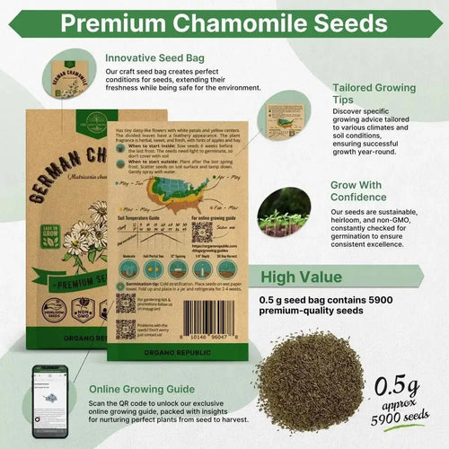 German Chamomile Seeds Pack 0.5 G - Over 5,900 Non - GMO Heirloom Chamomile Seeds for Planting Herbs in Individual Seed Packet, Herbs Seeds for Planting Home Garden Indoor & Outdoor Gardening - Organo Republic