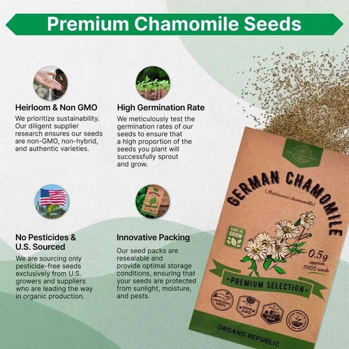 German Chamomile Seeds Pack 0.5 G - Over 5,900 Non - GMO Heirloom Chamomile Seeds for Planting Herbs in Individual Seed Packet, Herbs Seeds for Planting Home Garden Indoor & Outdoor Gardening - Organo Republic