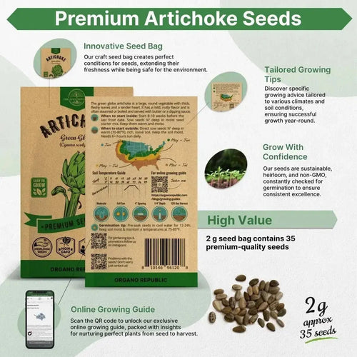 Green Globe Artichoke Seeds Pack 2G - Over 35 of Non - GMO Heirloom Artichoke Seeds for Planting Vegetables in Individual Seed Packet, Vegetable Seeds for Planting Home Garden Indoor & Outdoor Gardening - Organo Republic