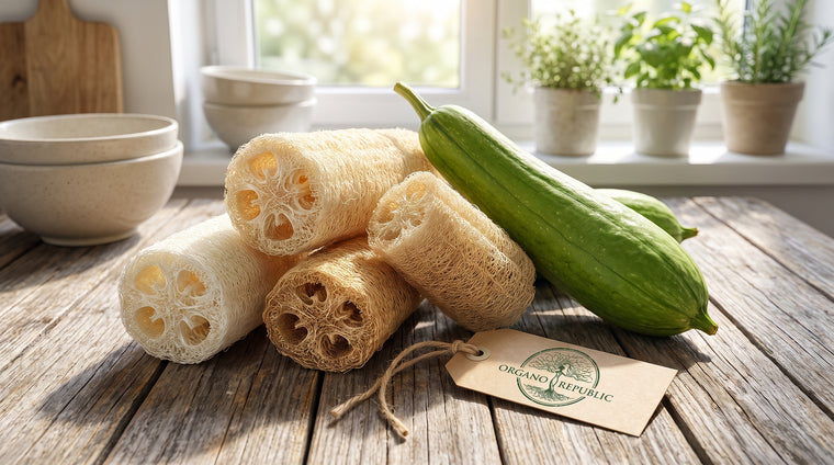 The payoff: dried natural loofah sponges from your own vine.
