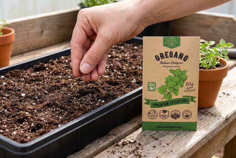Surface-sow oregano seeds and barely press them in, since they need light to sprout.