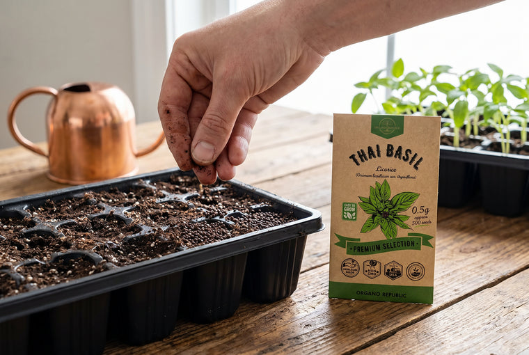 Start Thai basil seeds a quarter inch deep in warm, moist mix.