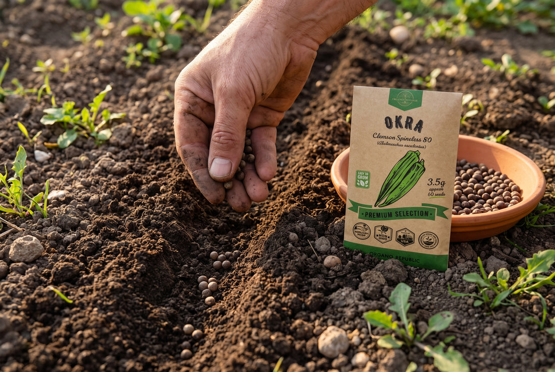 Sow soaked okra seeds half an inch deep in warm, sunny soil.