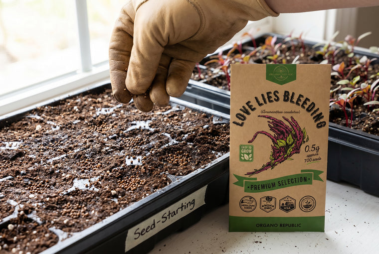 Surface-sow the tiny seeds on warm, moist mix; they need light to sprout.