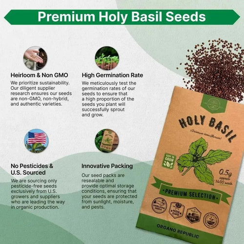 Holy Basil Seeds Pack 0.5 G - Over 1,400 Non - GMO Heirloom Basil Seeds for Planting Herbs in Individual Seed Packet, Herbs Seeds for Planting Home Garden Indoor & Outdoor Gardening - Organo Republic