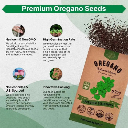 Italian Vulgare Oregano Seeds Pack 0.25 G - Over 3500 Non - GMO Heirloom Oregano Seeds for Planting Herbs in Individual Seed Packet, Herbs Seeds for Planting Home Garden Indoor & Outdoor Gardening - Organo Republic