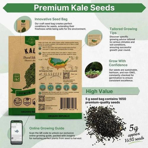 Kale Dwarf Siberian Seeds Pack 5 G - Over 1,650 Non - GMO Heirloom Kale Seeds for Planting Greens in Individual Seed Packet, Greens Seeds for Planting Home Garden Indoor & Outdoor Gardening - Organo Republic