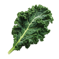 Kale Dwarf Siberian - 5G