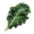 Kale Dwarf Siberian - 5G