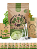 10 Lettuce & Salad Greens Seeds Variety Pack