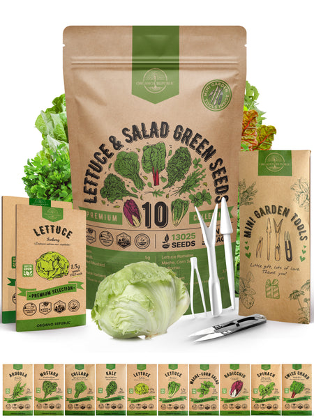 10 Lettuce & Salad Greens Seeds Variety Pack