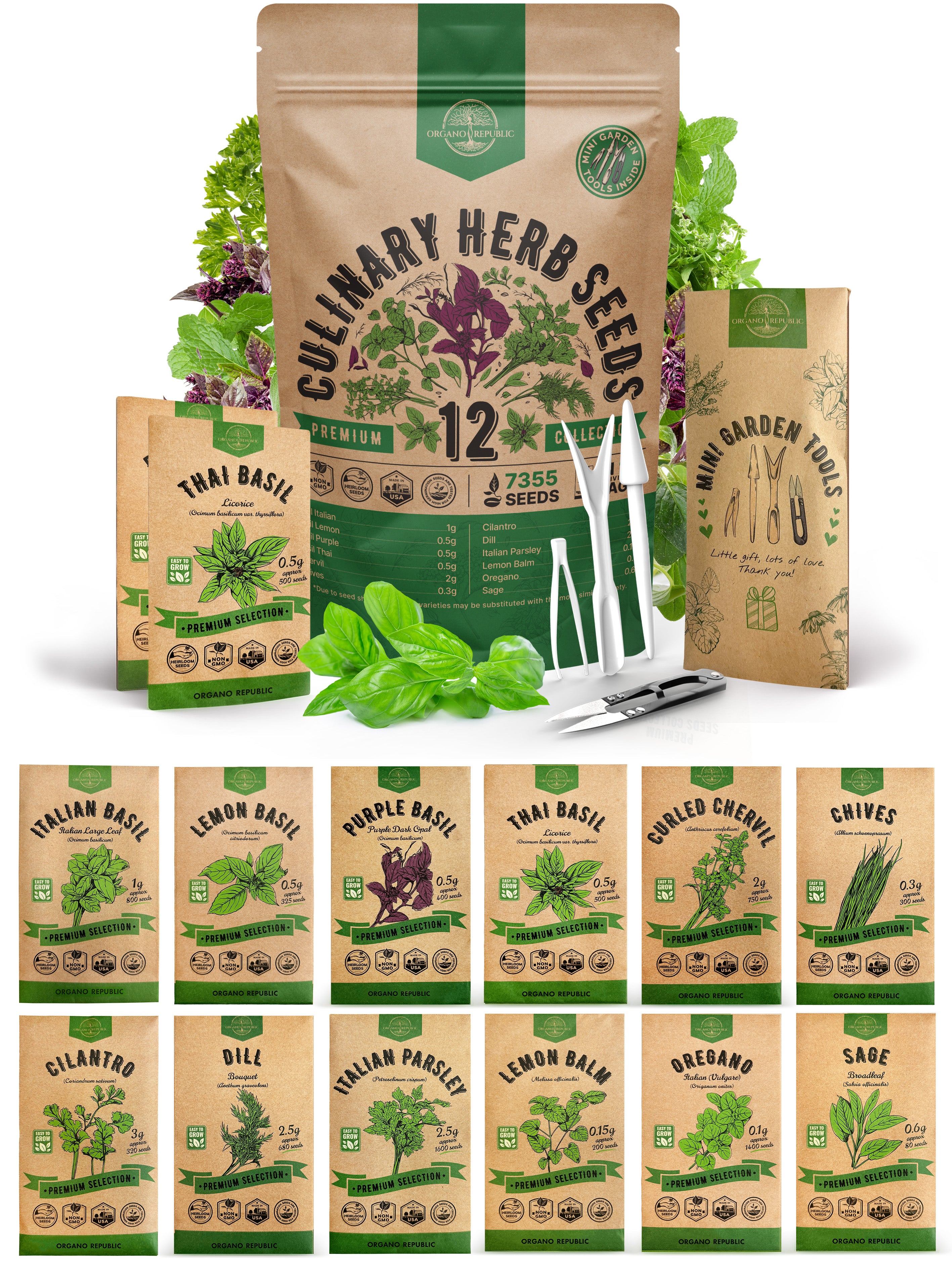 12 Culinary Herbs Seeds Variety Pack