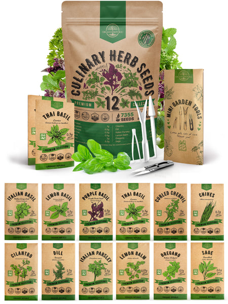 12 Culinary Herbs Seeds Variety Pack