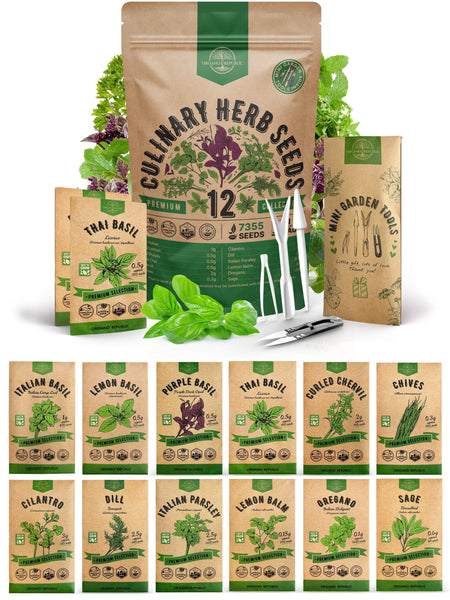 seeds for herb garden 12 Easy to Grow Herb Seeds Variety Pack - Over 7,355+ Non-GMO, Heirloom Seeds