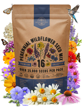 16 Perennial Wildflower Seed Mix 1 oz