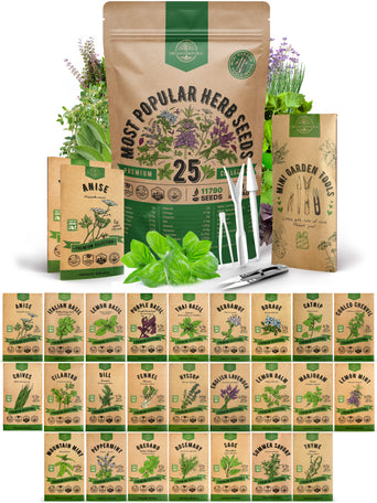 25 Most Popular Herb Seeds Variety Pack