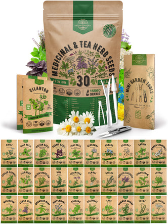 30 Herb Seeds - Medicinal & Tea Variety Pack
