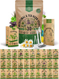 30 Herb Seeds - Medicinal & Tea Variety Pack