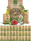 30 Most Popular Winter Vegetable Seeds Variety Pack