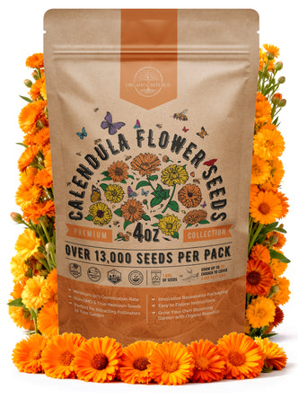 Calendula Seeds 4oz