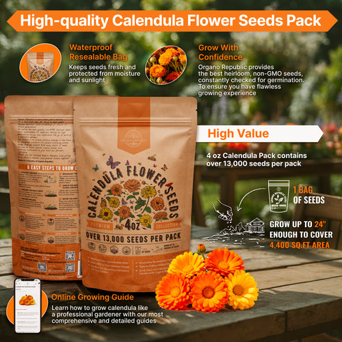 Calendula Seeds 4oz
