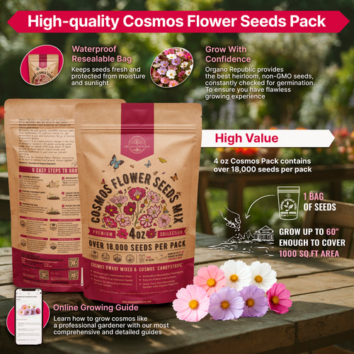 Cosmos Seeds 4oz